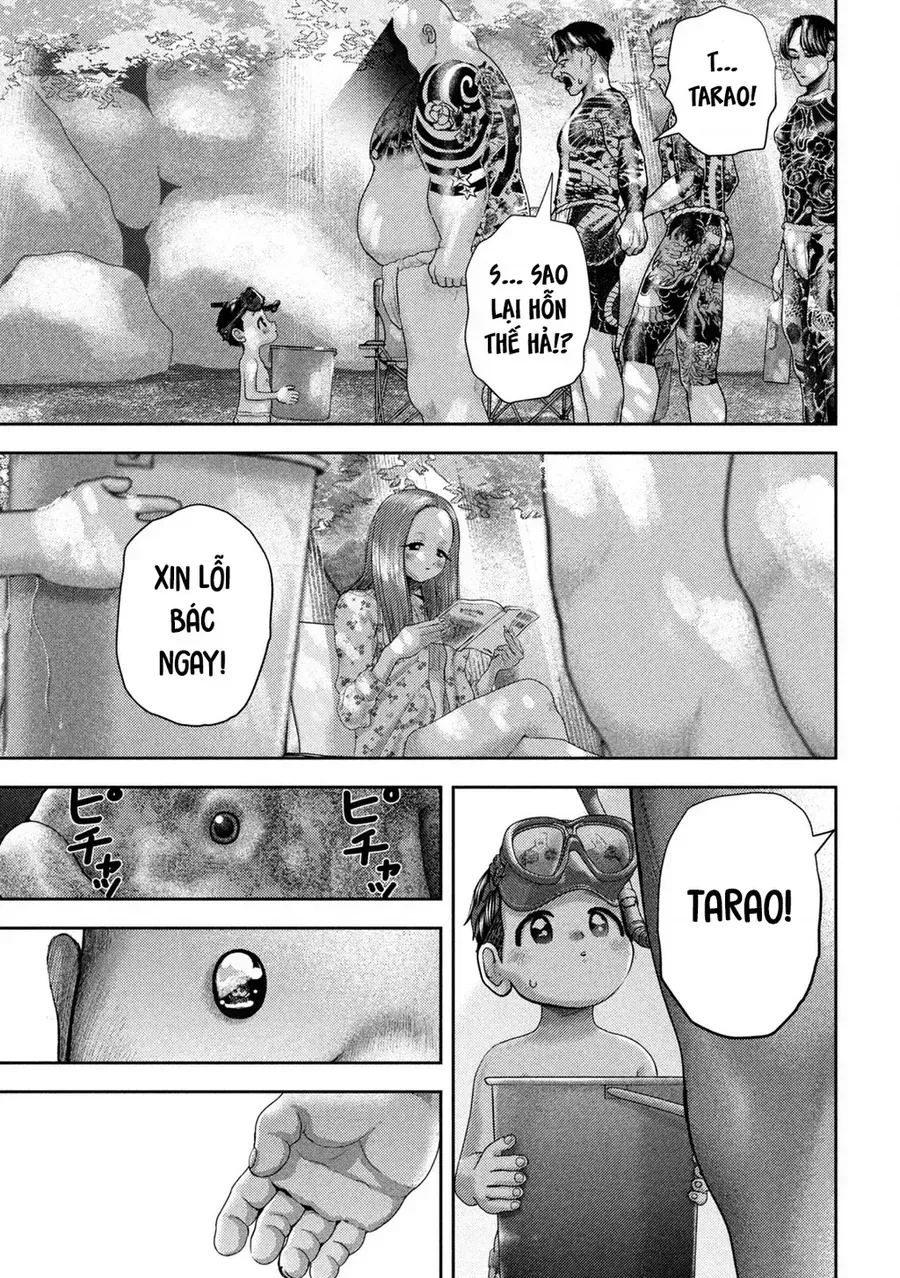 Trang 13