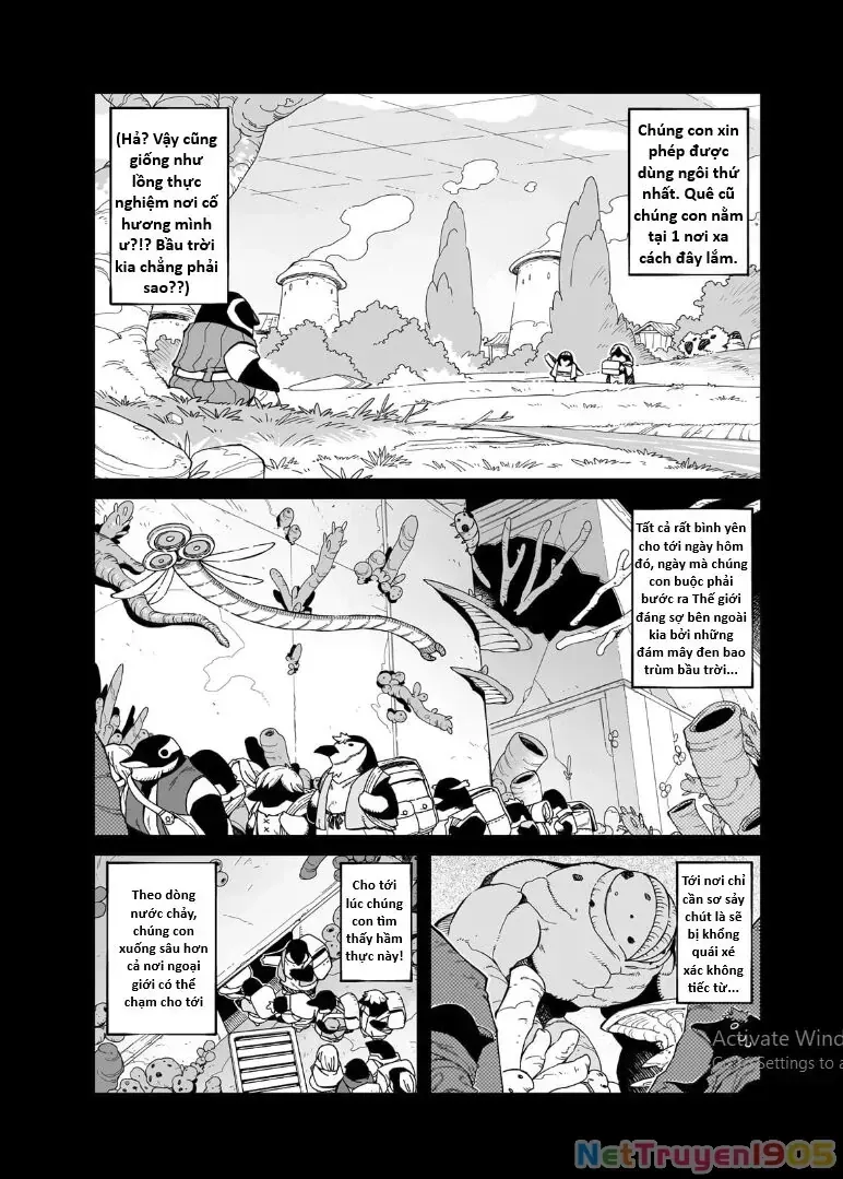 Trang 12