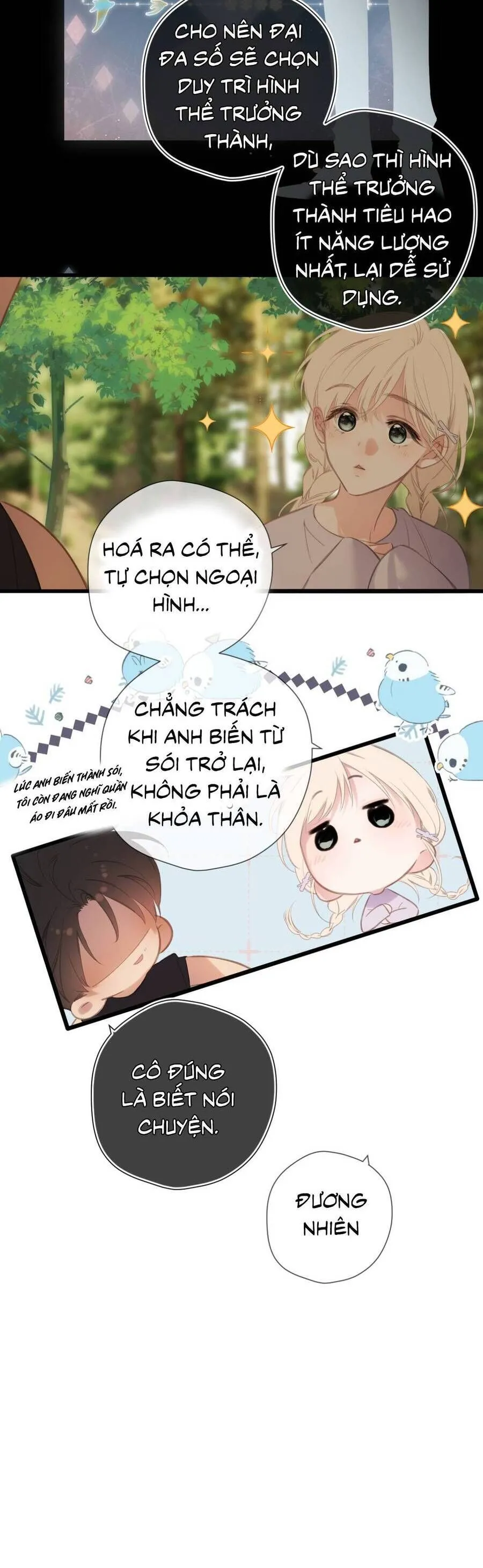 Trang 15