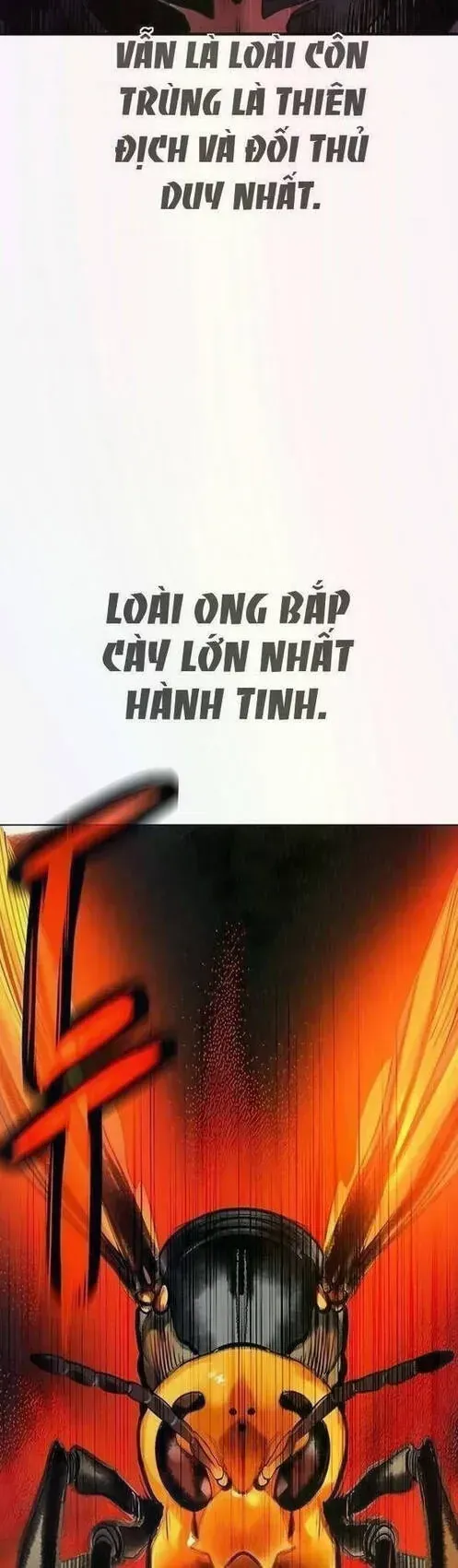 Trang 81