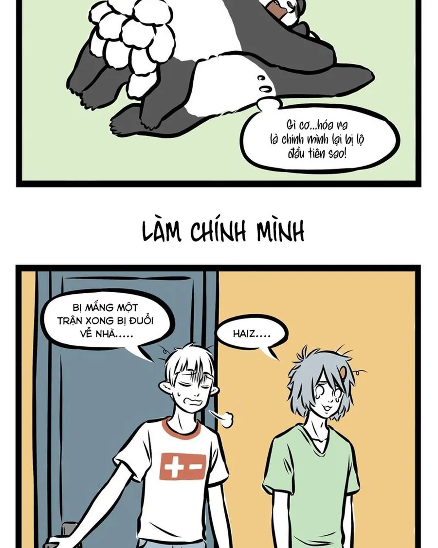 Trang 17