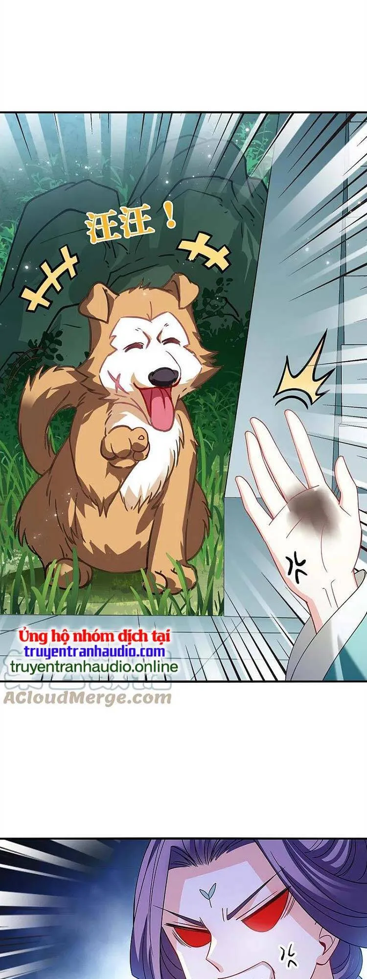 Trang 7