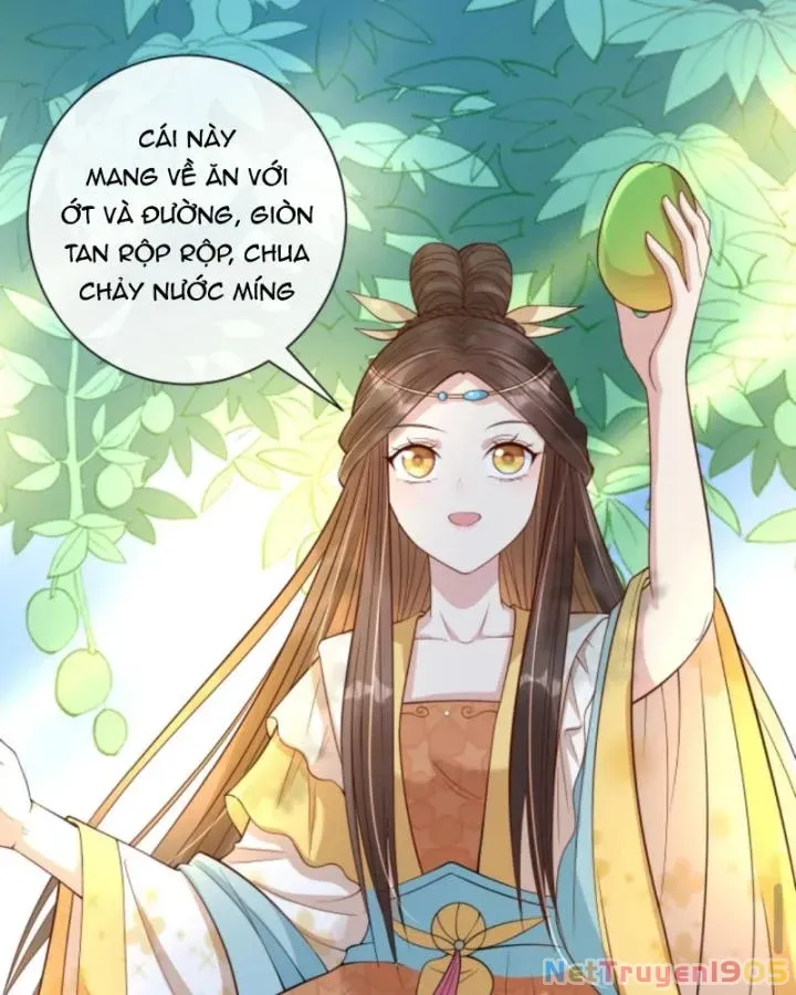 Trang 31
