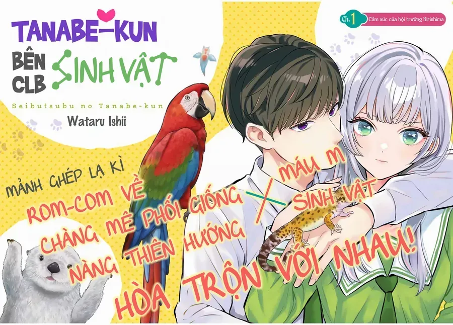 Trang 5