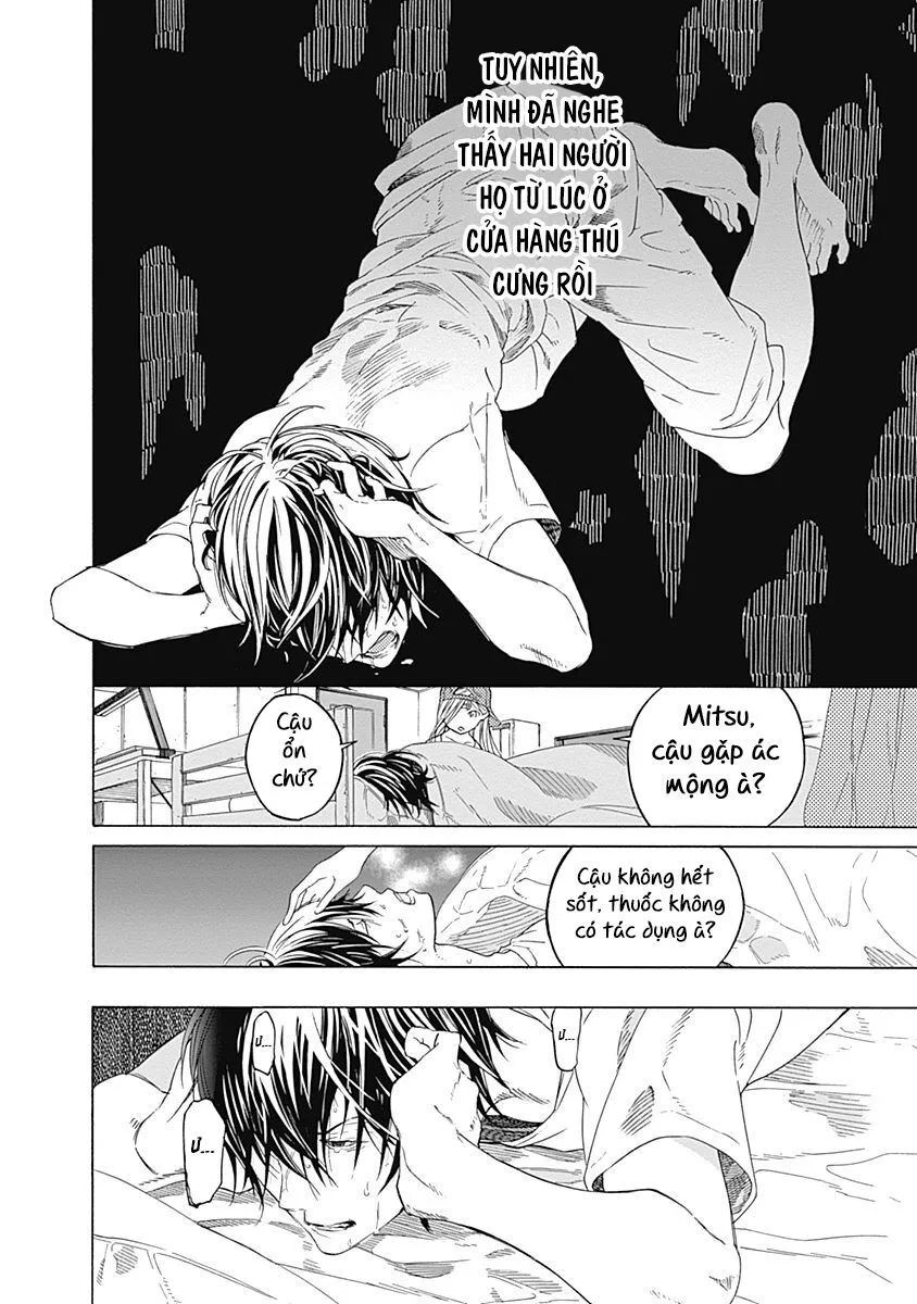 Trang 46