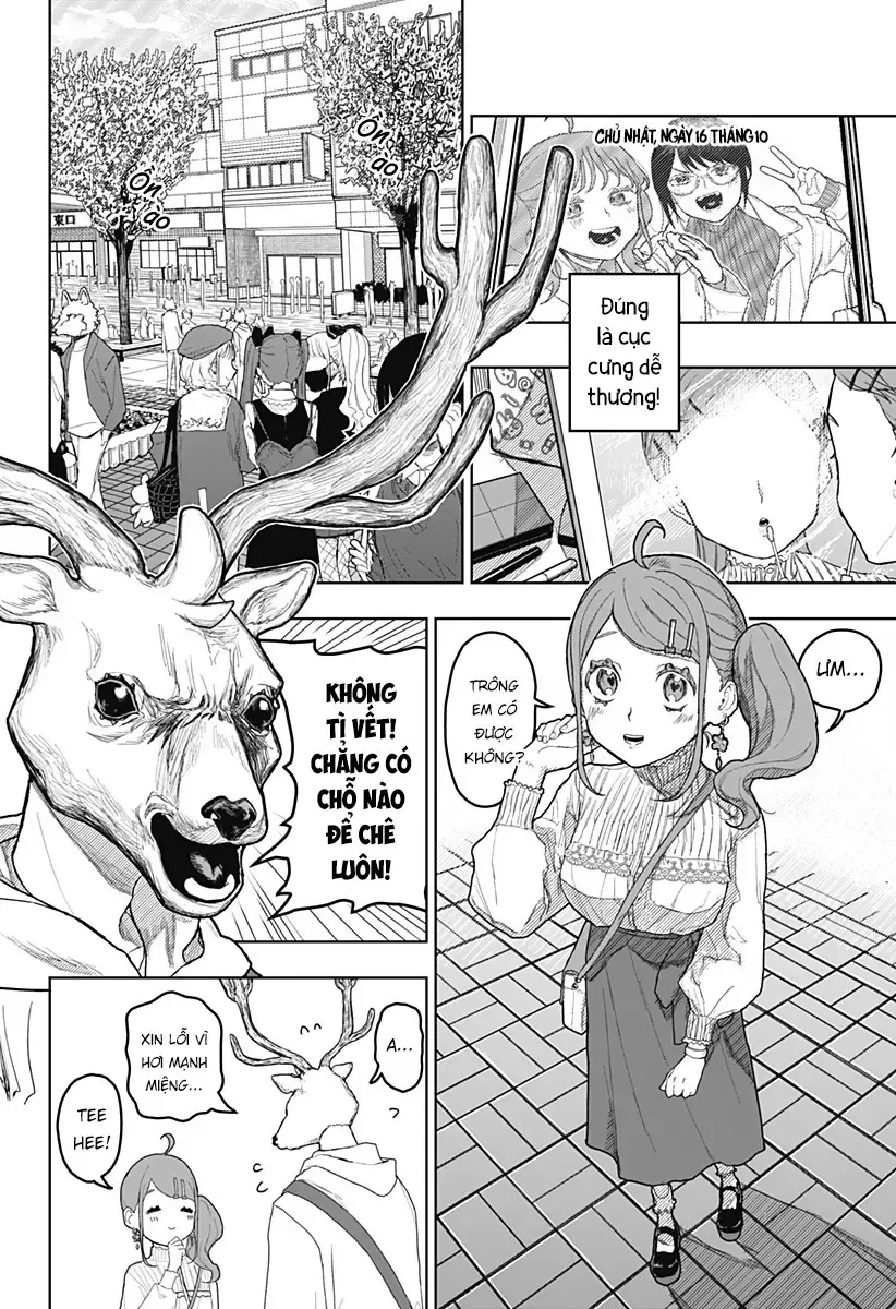 Trang 19