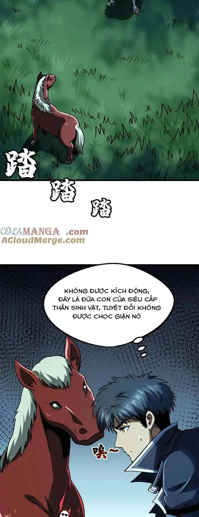 Trang 19