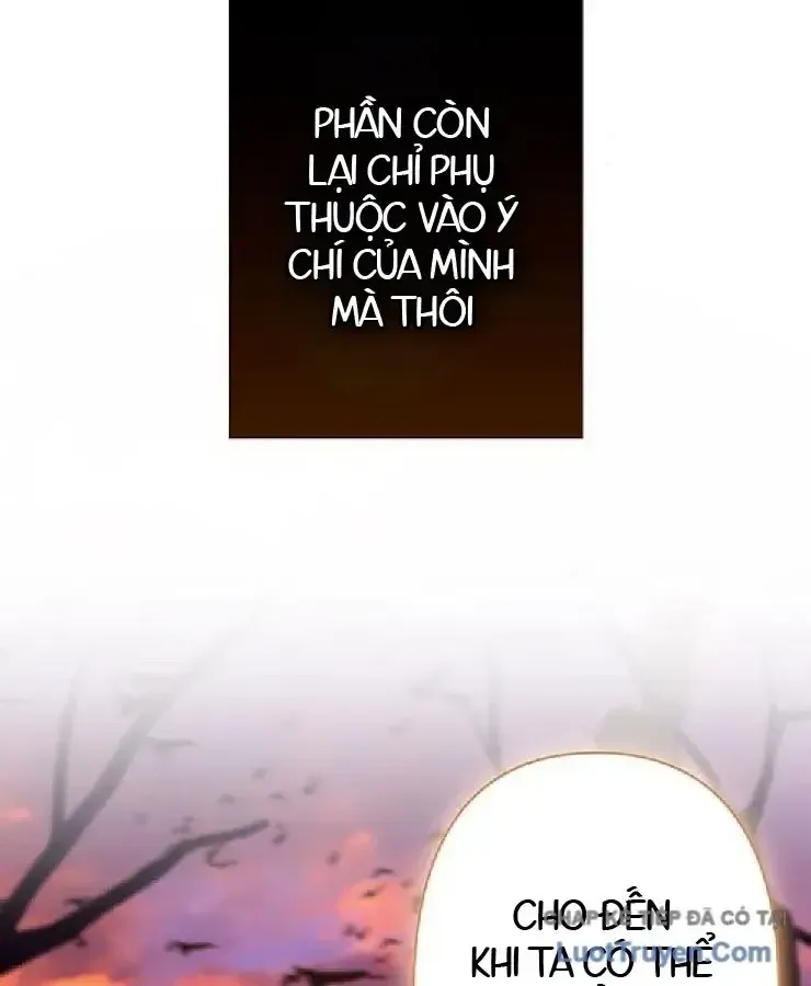 Trang 117