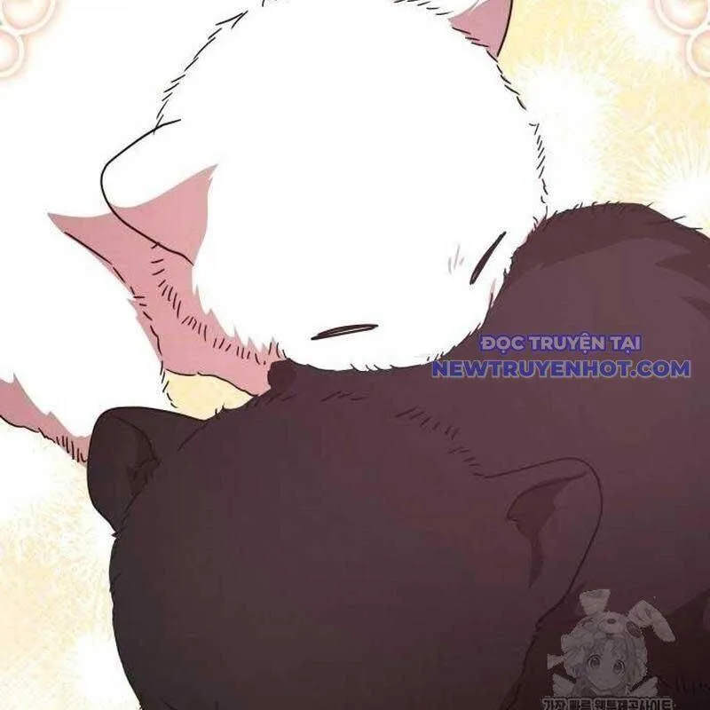 Trang 167