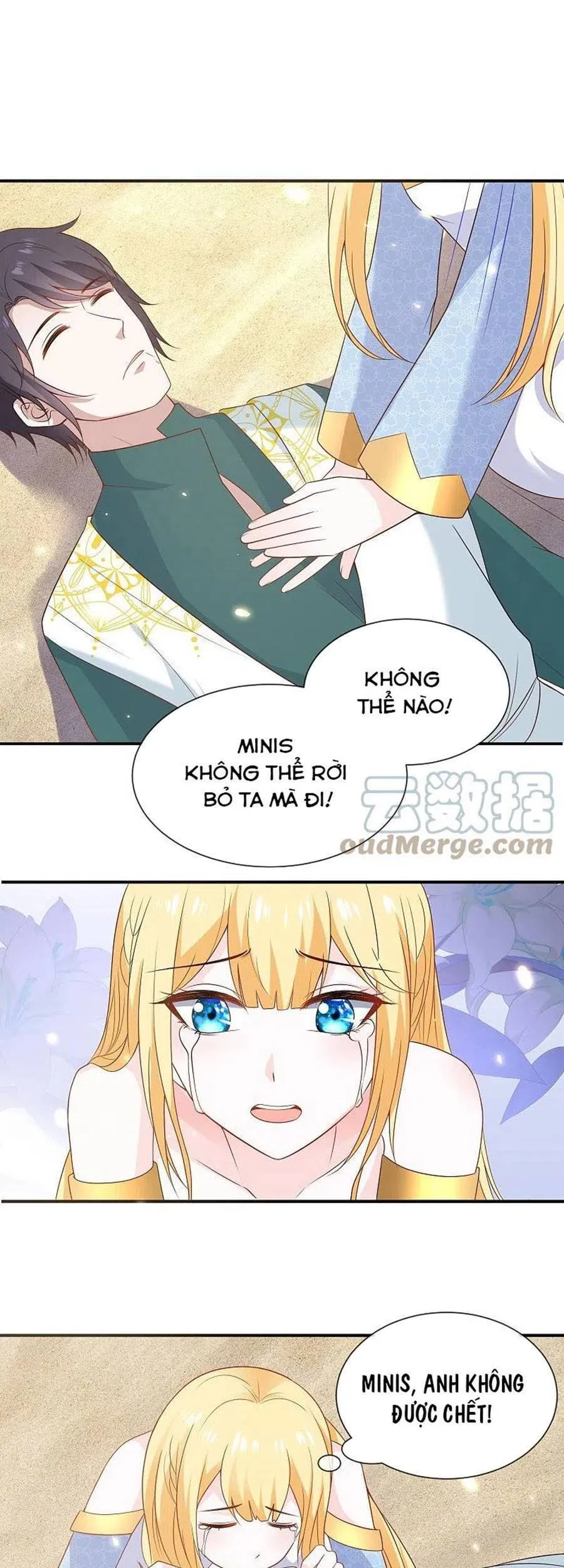 Trang 16
