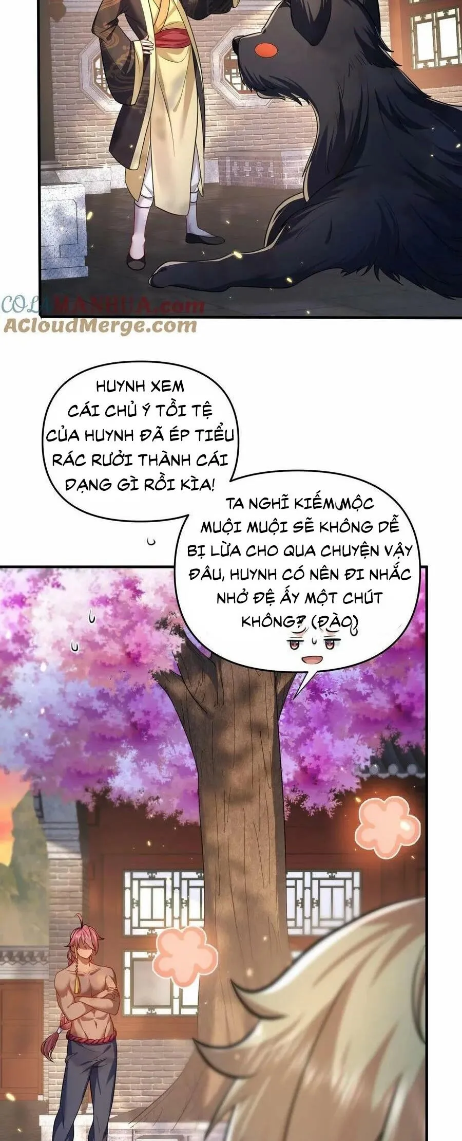 Trang 5
