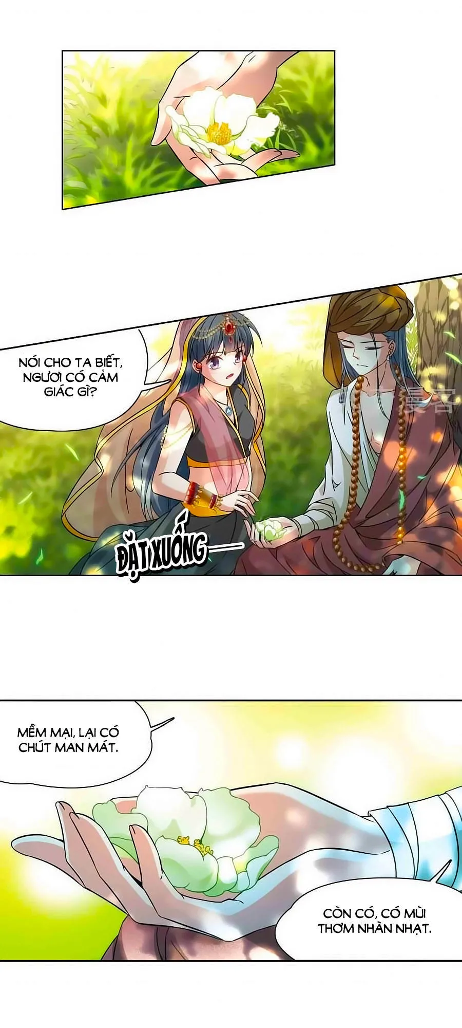 Trang 15