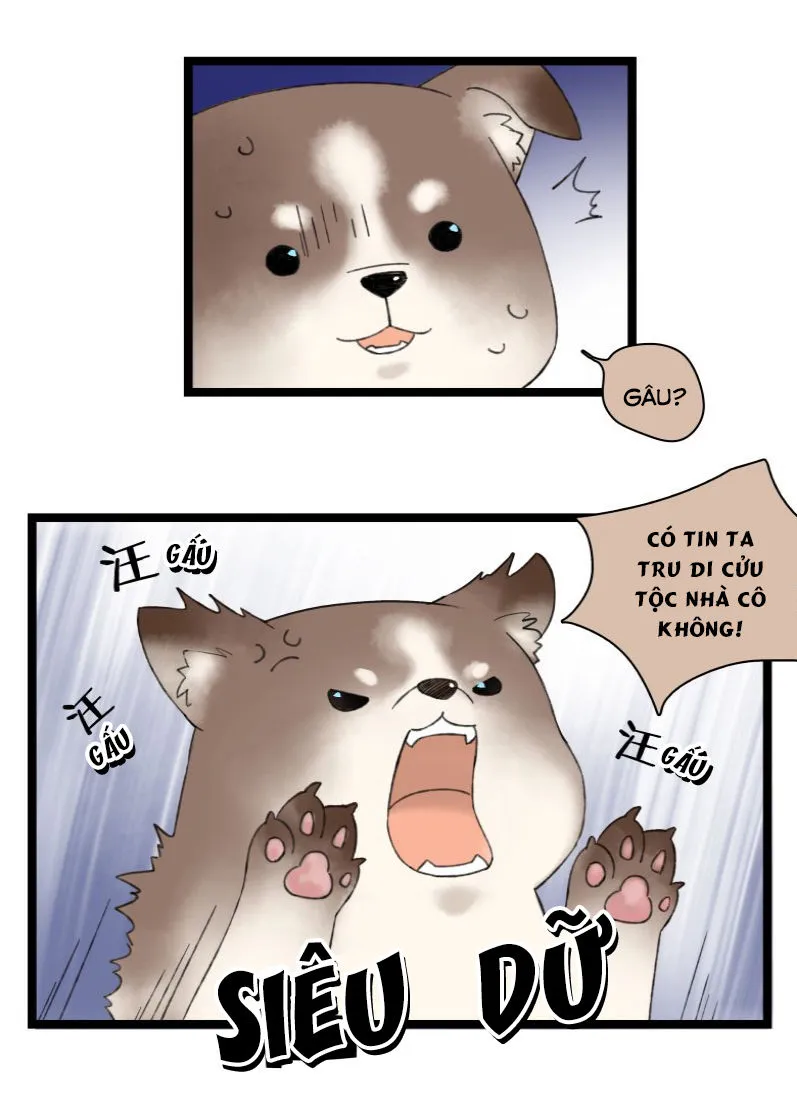 Trang 11