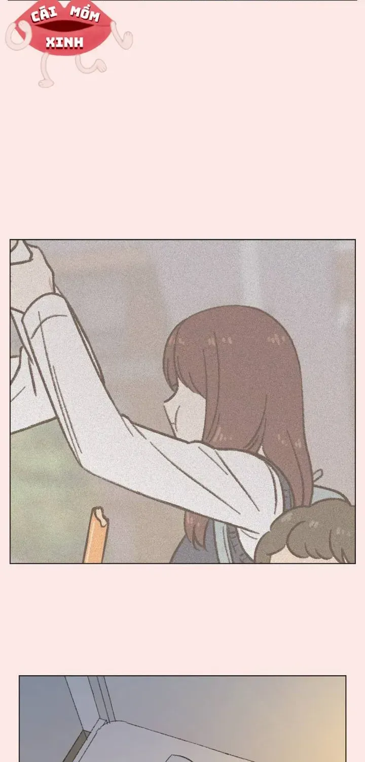 Trang 45