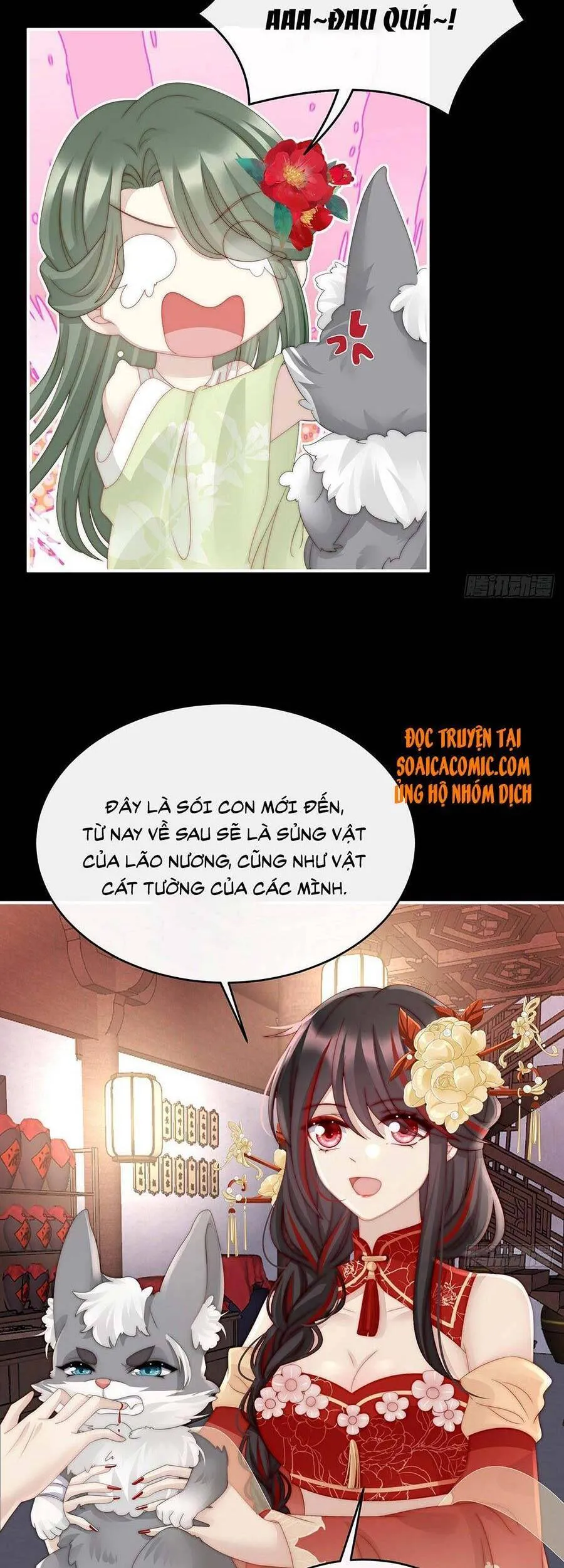 Trang 15