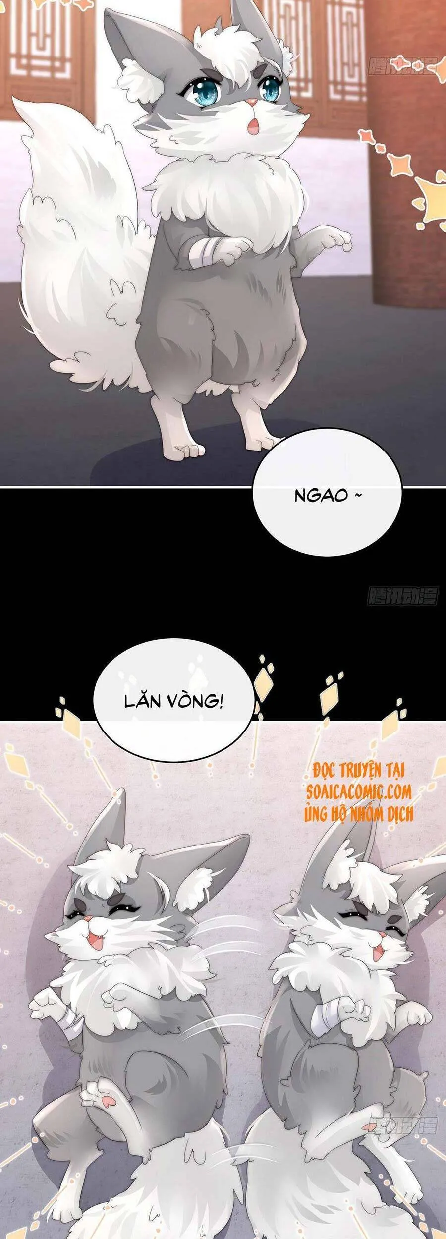 Trang 20