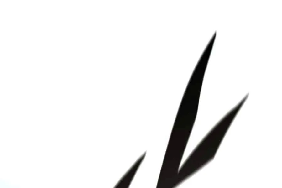 Trang 217