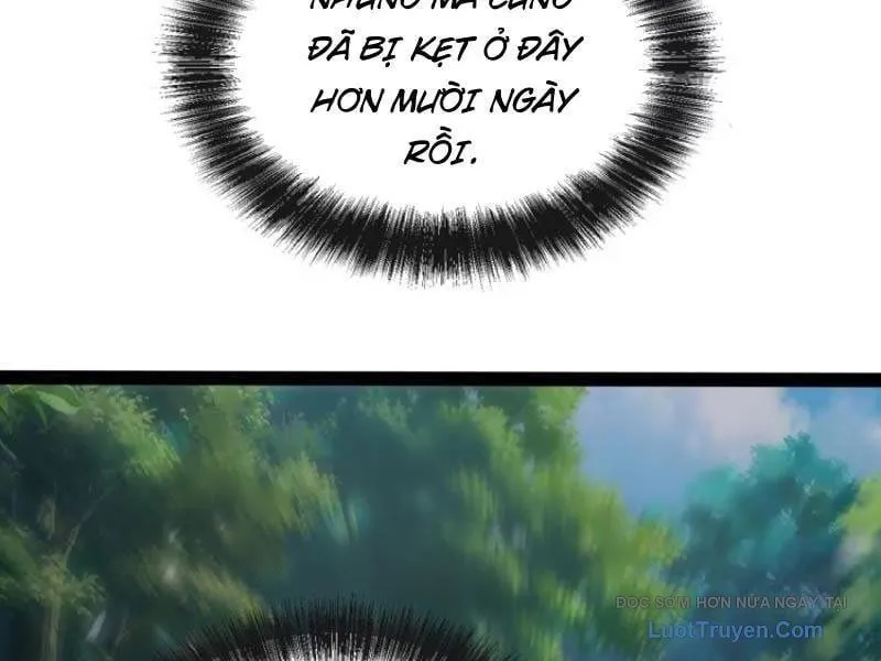 Trang 117