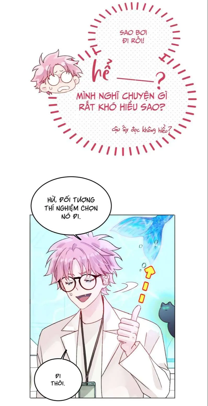 Trang 46