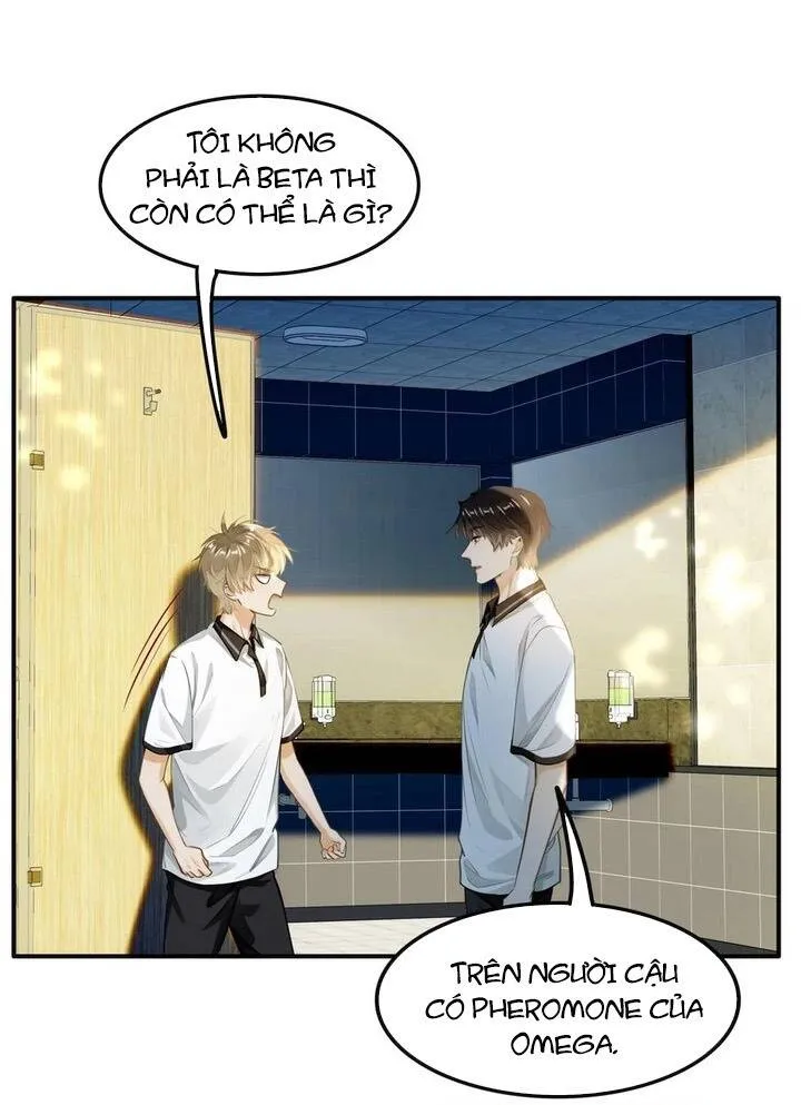 Trang 15