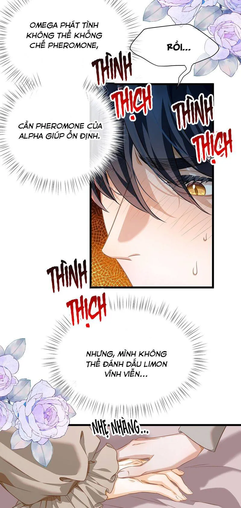 Trang 28