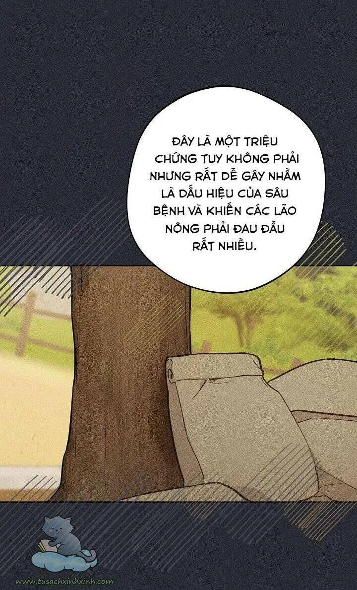 Trang 47
