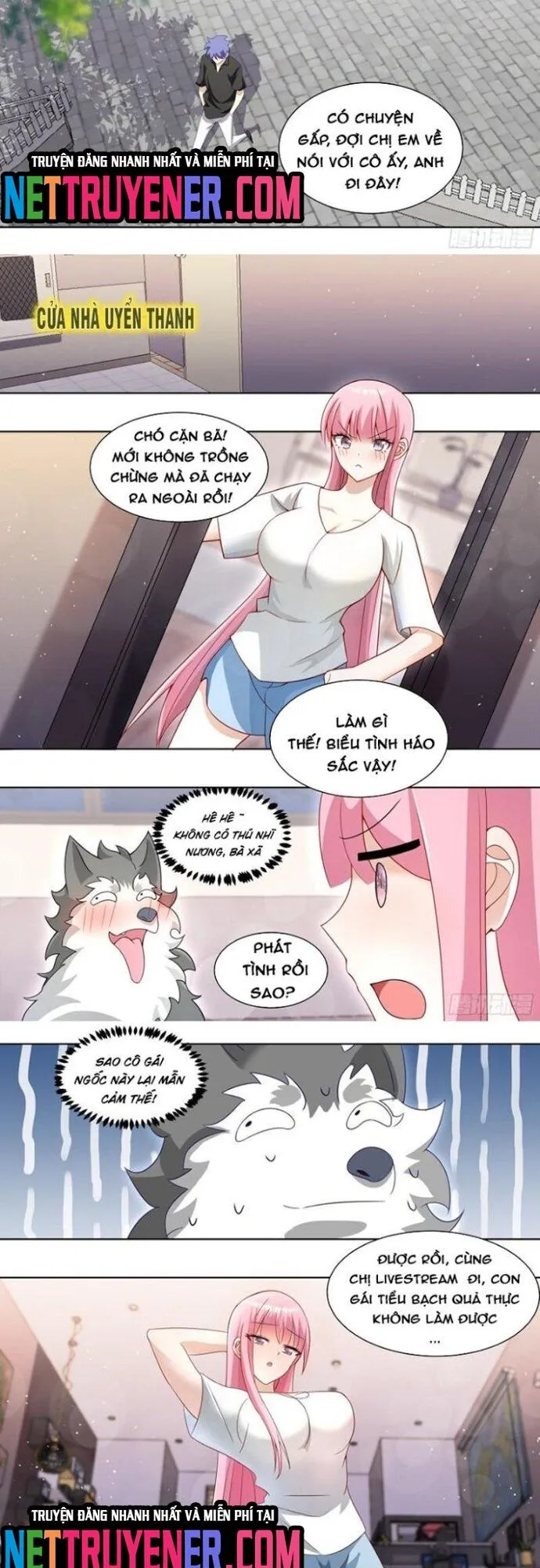 Trang 5