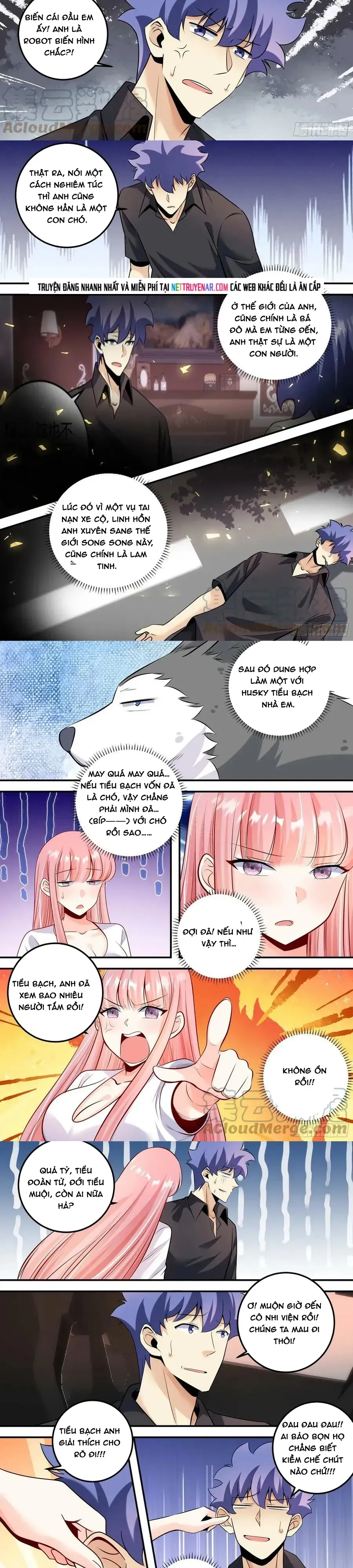Trang 3