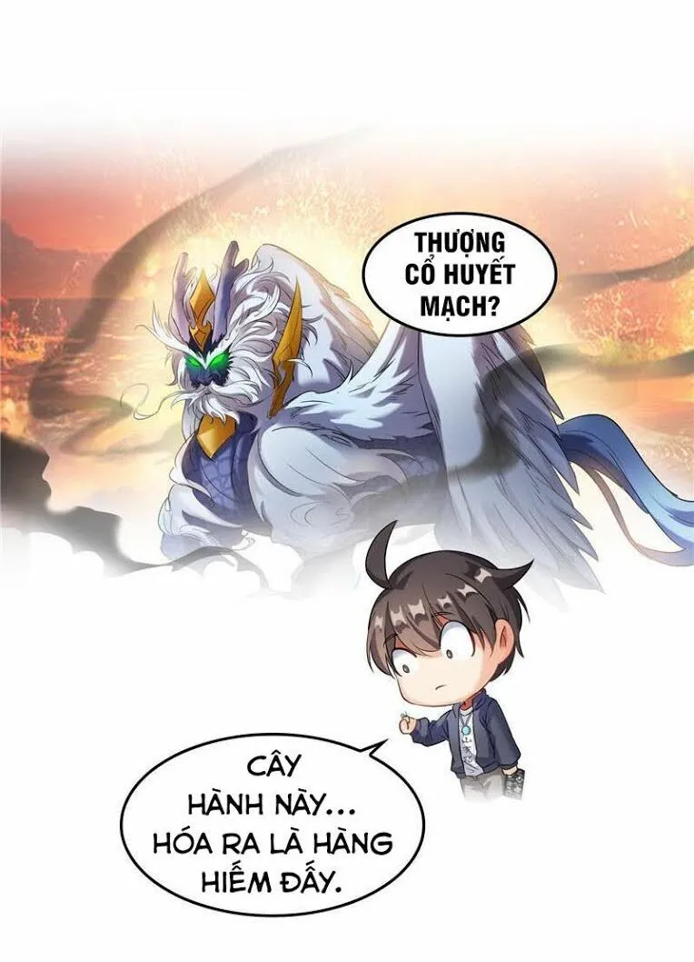Trang 19