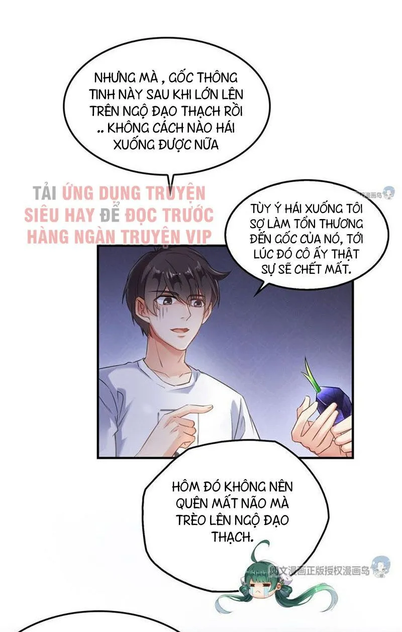 Trang 26
