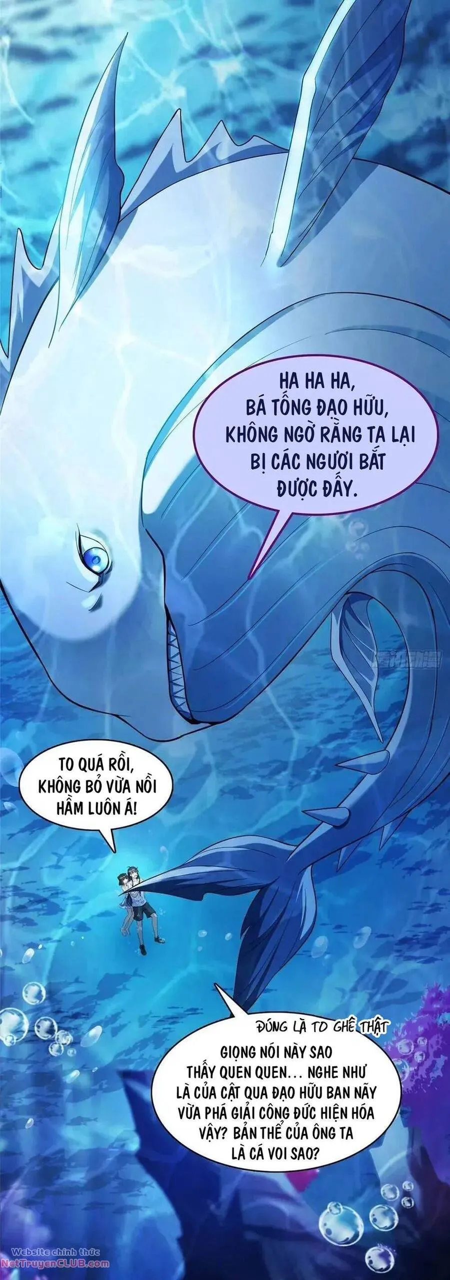 Trang 17
