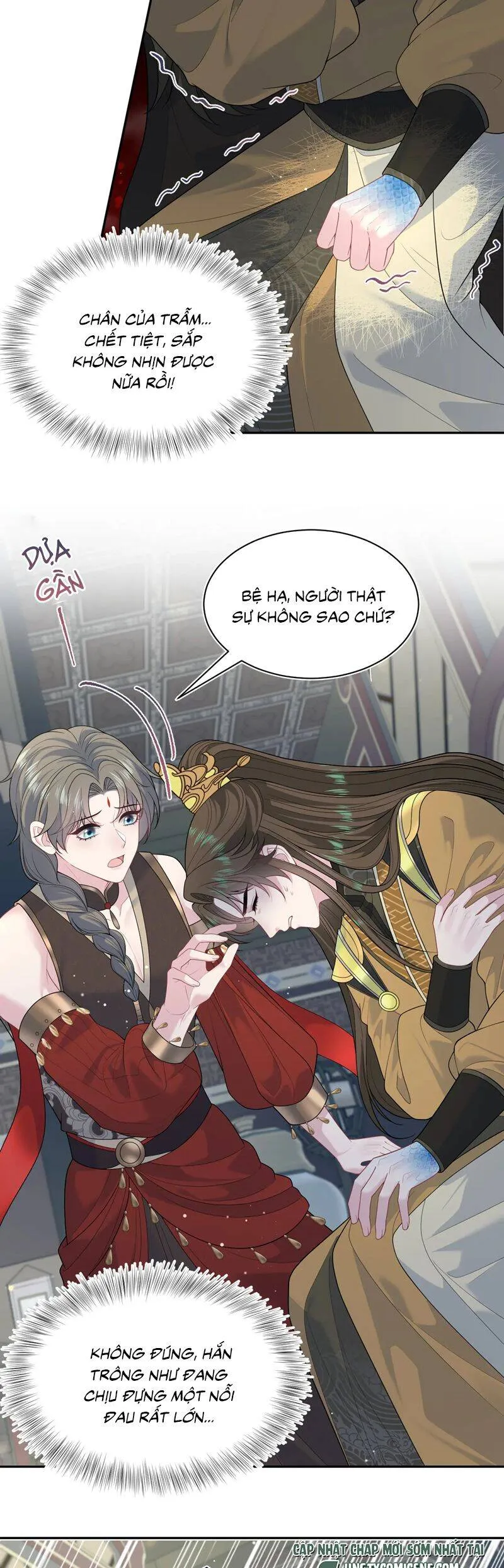 Trang 24