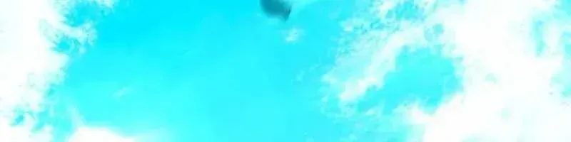 Trang 237