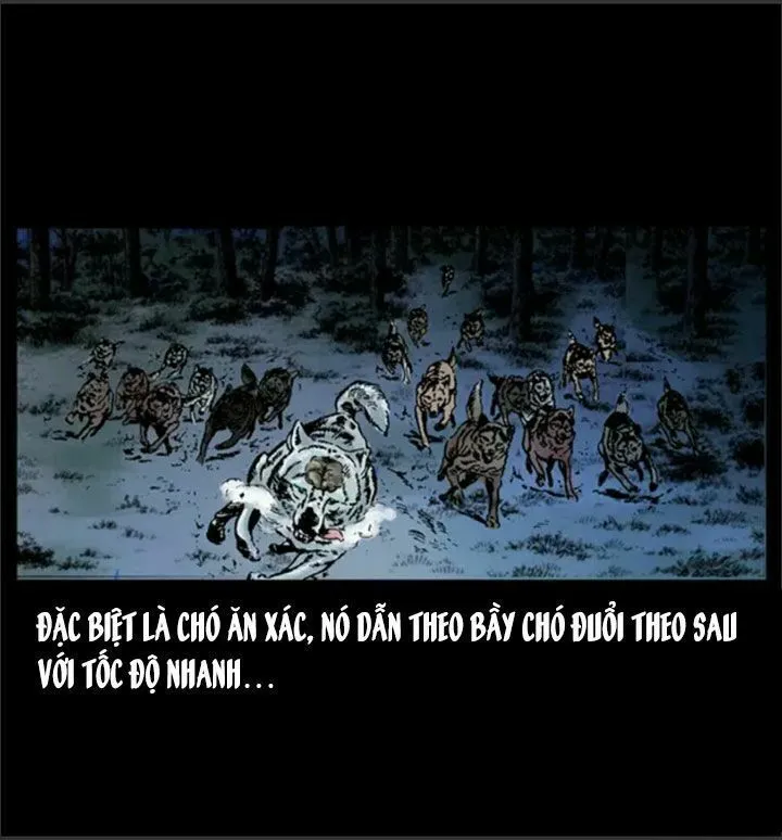 Trang 14