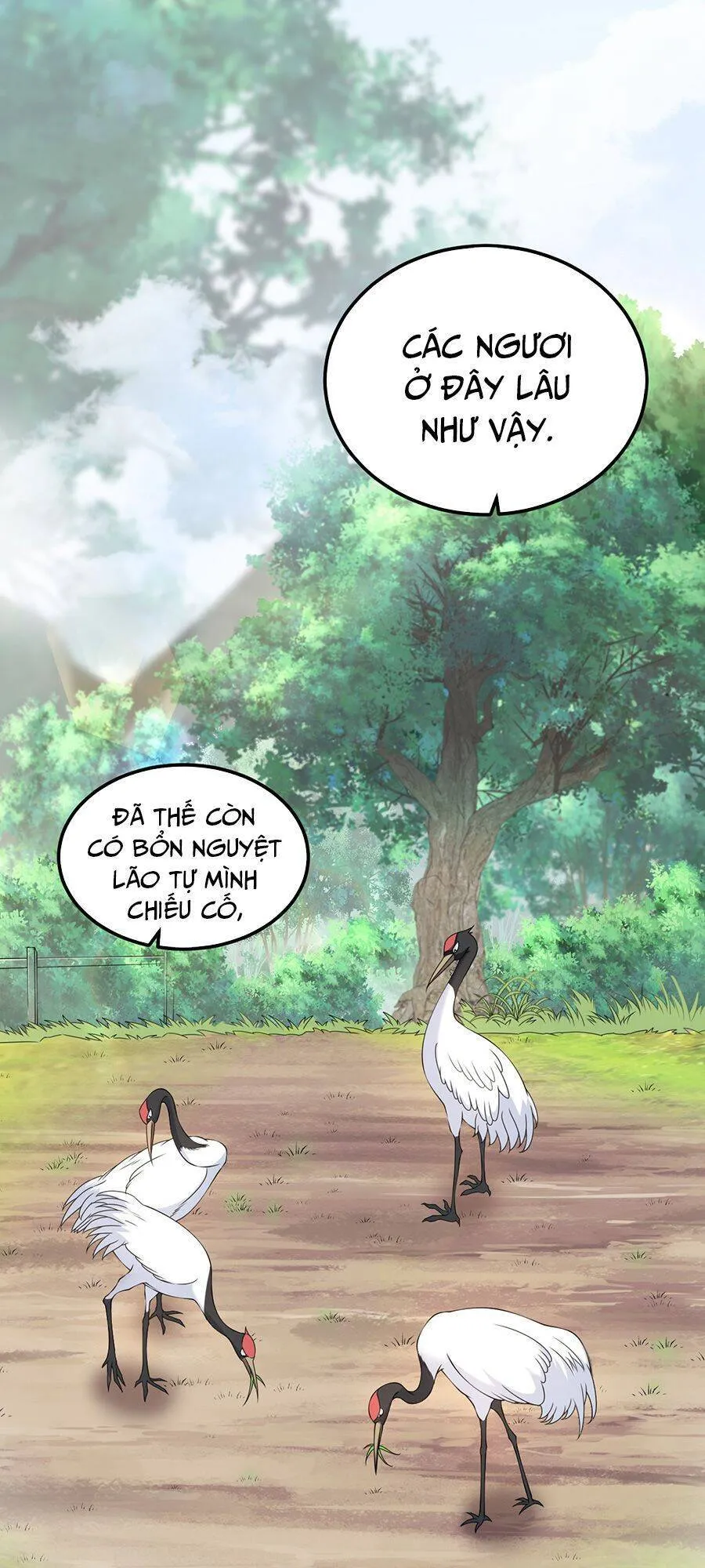 Trang 50