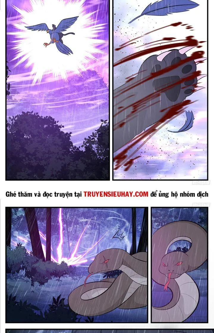 Trang 11