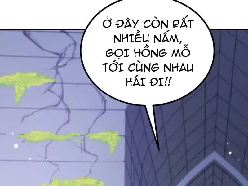 Trang 81